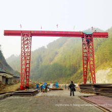 Grue électrique de portique de grue simple